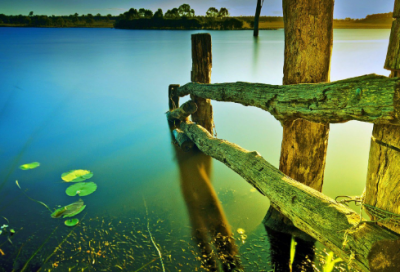 ​二年级下册语文《咏柳》教学设计一等奖