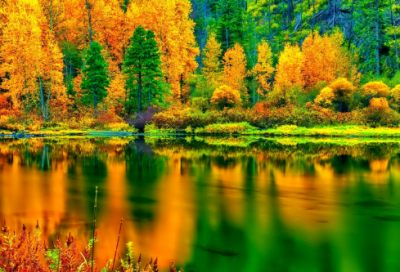 ​夜宿山寺原文及赏析