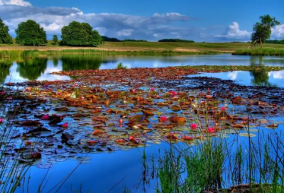 ​登高原文、注释、译文及赏析