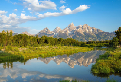 ​小学二年级数学上册教学计划
