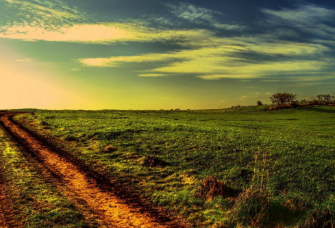 1687540069952760.png image.png