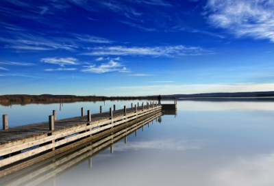 ​关于风的成语有哪些（形容风的成语唯美）