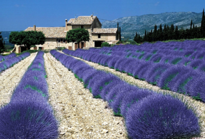 ​带光的成语有哪些（和光有关的四字成语）