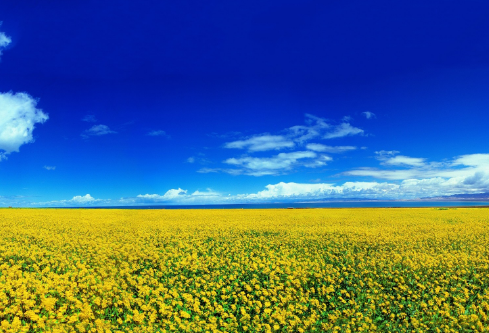 1687543399475270.png image.png