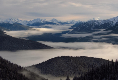 ​父母官的意思是什么（父母官的成语解释及由来）