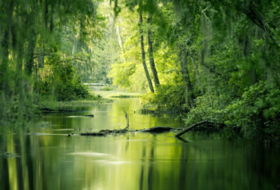 ​二人同心其利断金（形容夫妻同心的成语）