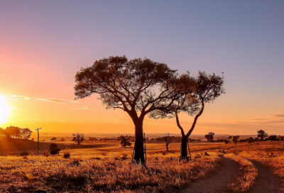 ​零的成语有哪些（有零的四字成语）