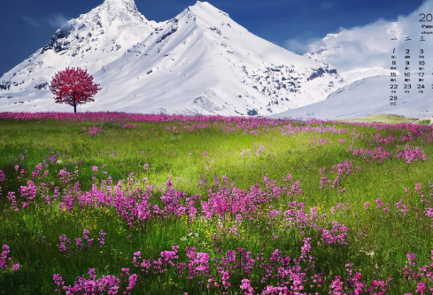 1687554224246741.png image.png