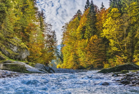 1687554557333245.png image.png