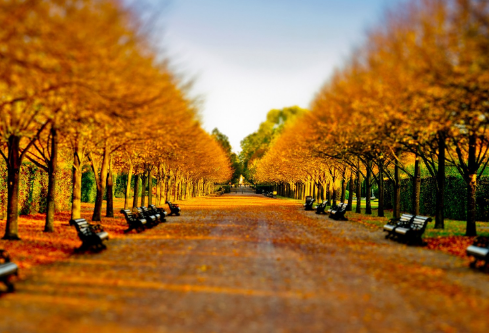 1687557887989218.png image.png