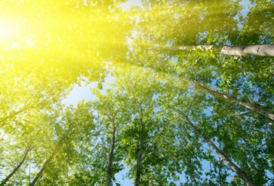 ​带四的成语寓意好的（四的好寓意成语大全）