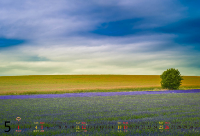 ​随声附和的意思是什么（随声附和的成语典故）