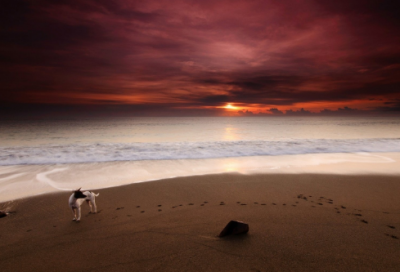 ​形容云的成语有哪些（云字寓意很好的成语）