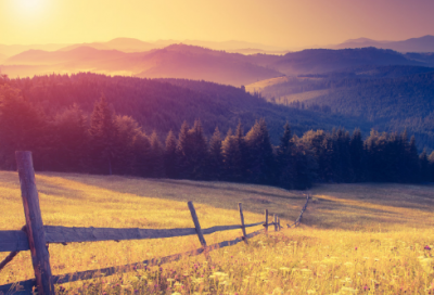 ​三生有幸的意思是什么（三生有幸成语典故）