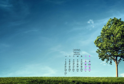 ​买椟还珠是什么意思（买椟还珠成语典故）