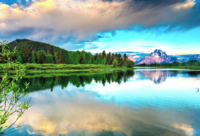 ​有关羊的成语有哪些（带羊字的成语大全）