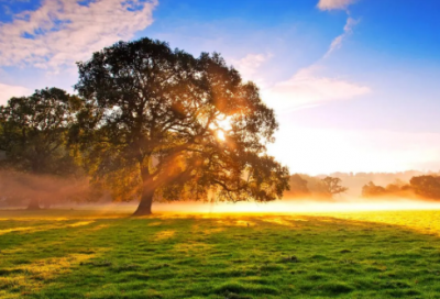 ​形容勇气的成语有哪些（描写勇气的成语）