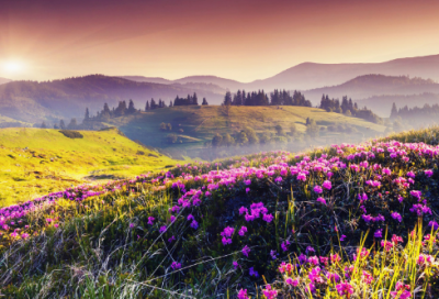 ​关于喜的成语有哪些（喜字的四字成语大全）