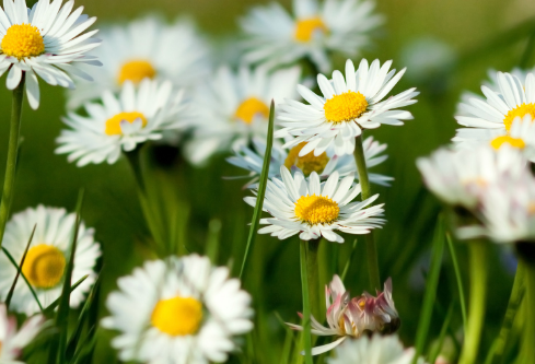 1687585965287592.png image.png