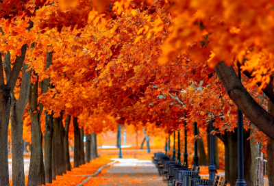 ​好寓意的成语有哪些（牛字的好寓意成语合集）