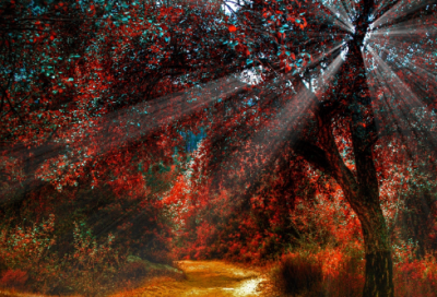 ​关于笑的成语有哪些（形容有说有笑的成语）