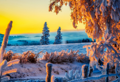 ​蒸蒸日上是什么意思（成语的意思及造句）