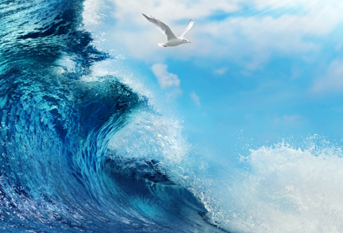 1687600369230114.png image.png