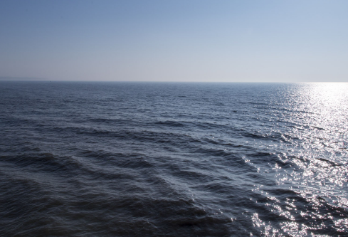 1687600882229184.png image.png