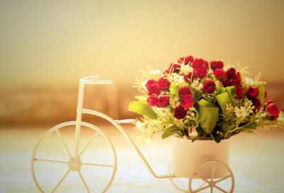 ​高造句,用高怎么造句