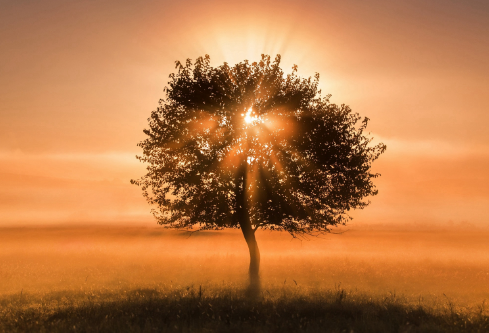 1687601516722648.png image.png