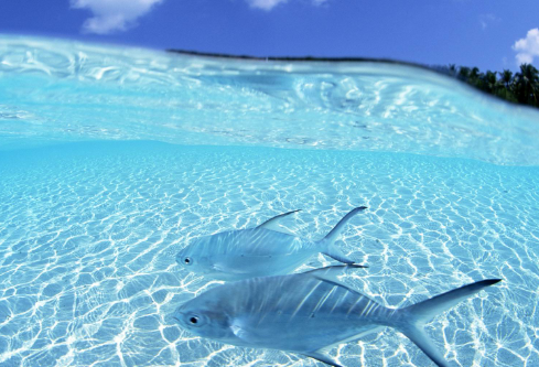 1687601567217146.png image.png