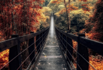 ​二杆子造句,用二杆子怎么造句