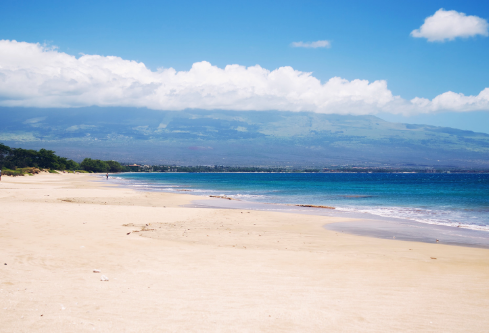 1687601738495932.png image.png