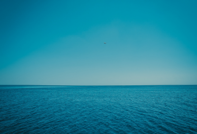 ​并不平凡小学作文五篇