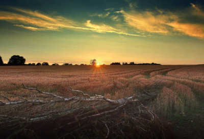 ​汉字造句,用汉字怎么造句