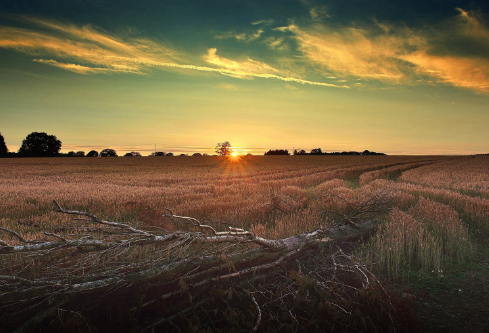 1687602016338449.png image.png