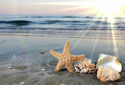 ​南来北往造句,用南来北往怎么造句