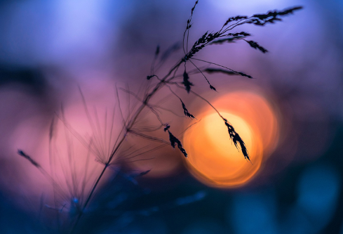 1687602516414890.png image.png