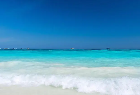 1687602767527574.png image.png