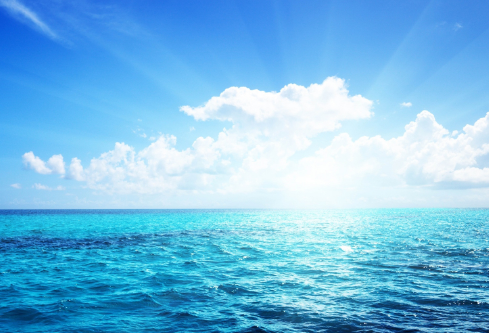 1687602939890610.png image.png