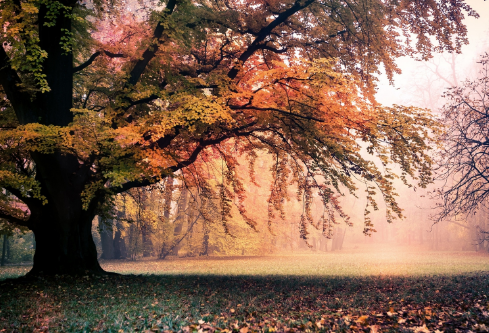 1687603350396299.png image.png