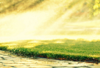 ​枯枝败叶造句,用枯枝败叶怎么造句