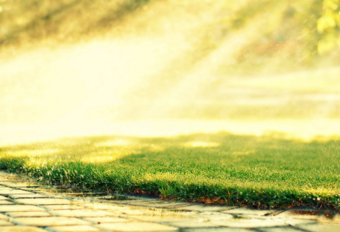 1687603517731812.png image.png