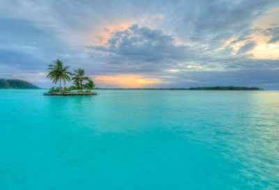 ​我身边的雷锋故事作文