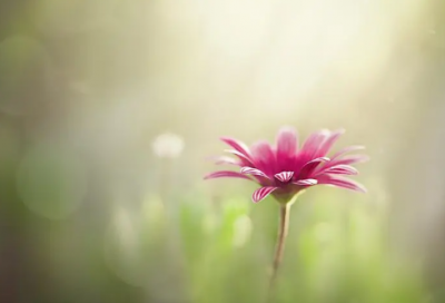 ​马后炮造句,用马后炮怎么造句