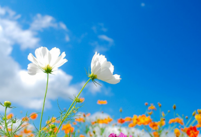 ​多灾多难造句,用多灾多难怎么造句