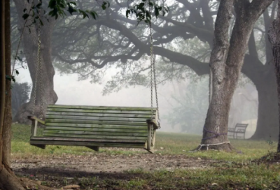 ​类造句,用类怎么造句