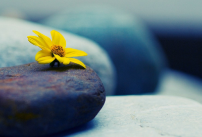 ​指手画脚造句,用指手画脚怎么造句