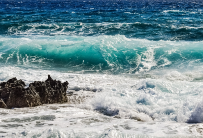 ​2017年高考满分作文范文