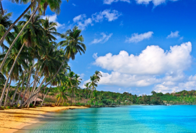 ​四年级美术教学计划